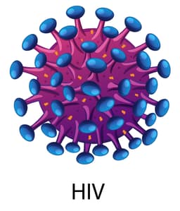 ویروس HIV عامل بیماری ایدز